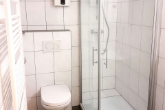 renovierung-eines-kleinen-badezimmers-mit-einbau-einer-begehbaren-dusche